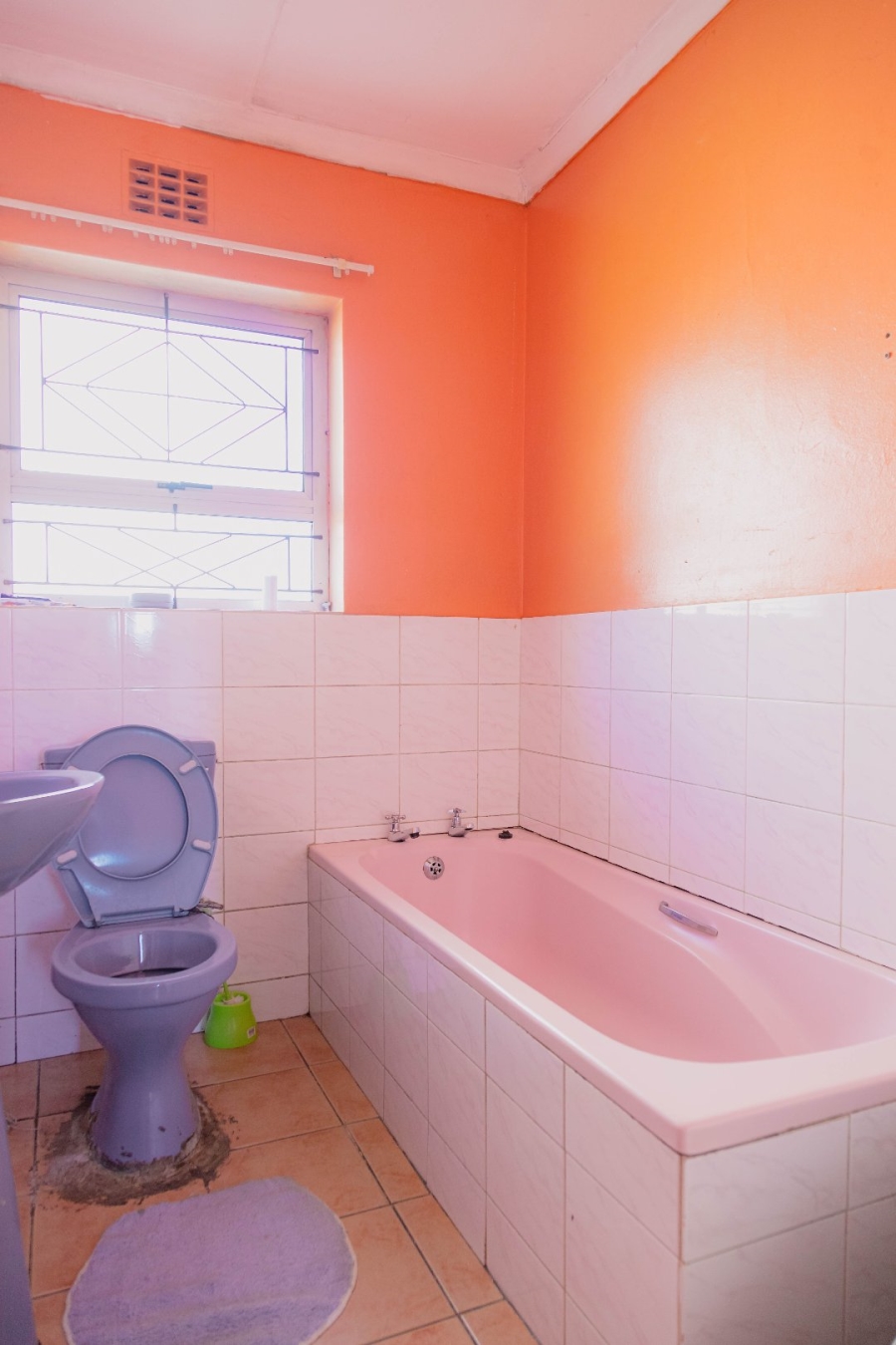 4 Bedroom Property for Sale in Balassi Valley Eastern Cape